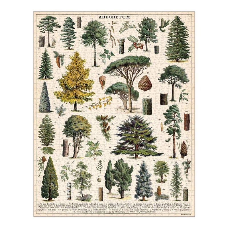 CAVANILLI & CO. Cavallini Papers & Co. Arboretum 1,000 Piece Puzzle, Multi - Image 1